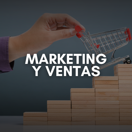 Estrategias de marketing y ventas desarrolladas por La Americana Soluciones para impulsar el crecimiento empresarial.